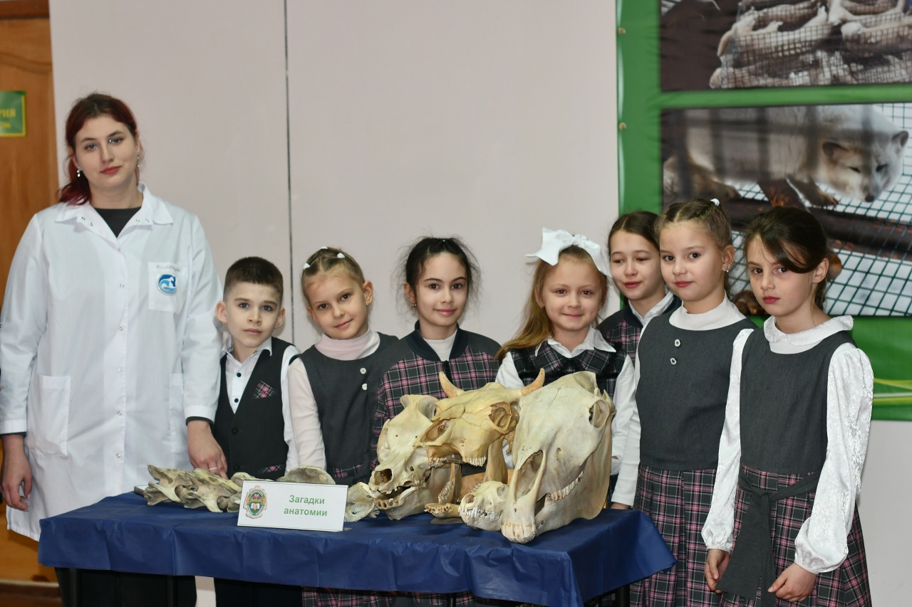 ПРОФОРИЕНТАЦИОННЫЙ КВЕСТ «ЮНЫЕ АКАДЕМИКИ» В ДОНАГРА