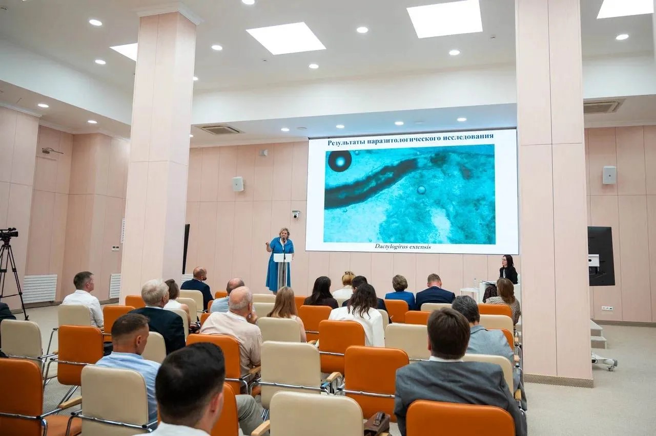 ПРЕПОДАВАТЕЛИ ДОНАГРА АКТИВНО ПРЕДСТАВЛЯЮТ РЕЗУЛЬТАТЫ СВОИХ ИССЛЕДОВАНИЙ НА ВЕДУЩИХ НАУЧНЫХ ПЛОЩАДКАХ РОССИИ 